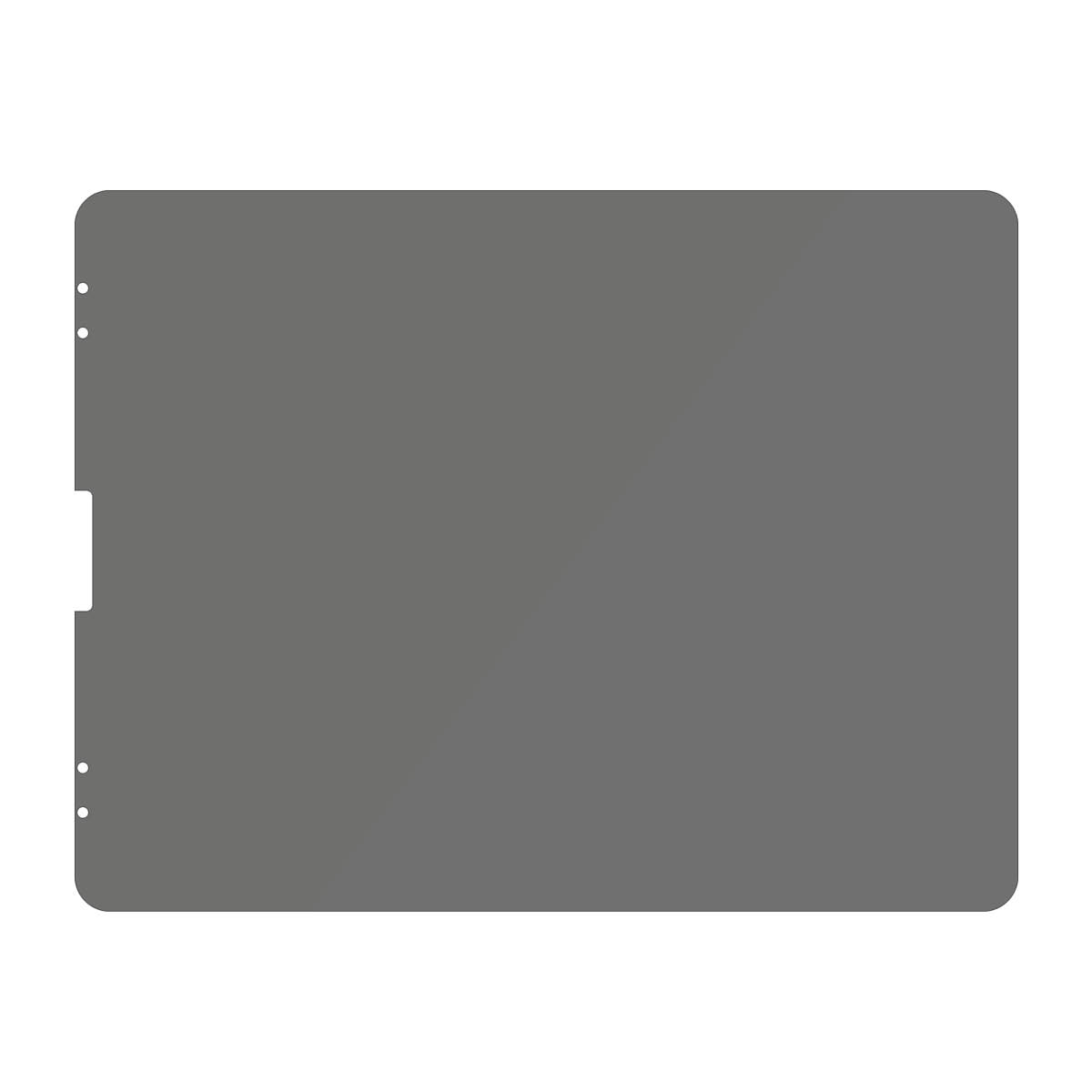 PanzerGlass Apple iPad Pro 12.9" (2018 | 2020 | 2021) - privacy | Sticla de protectie pentru ecran thumb