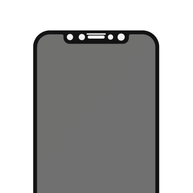 Folie Sticla Privacy PanzerGlass pentru iPhone XR/11 Negru